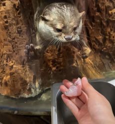 -Zoolung Zoolung动物主题公园(海信广场店)