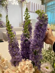 -上海浦东华美达大酒店·宴会厅