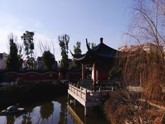 -葛仙湖公园