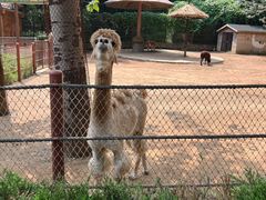 -大连森林动物园