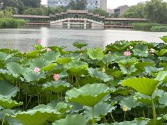 -西海子公园