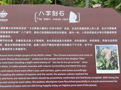 -华侨城湿地公园