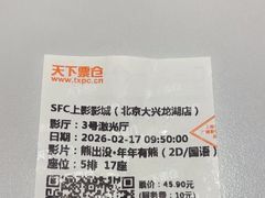 -SFC上影影城(北京大兴龙湖天街IMAX店)