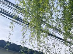 -苏州上方山国家森林公园
