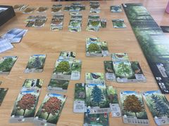 -6号玩家桌游吧(汉街店)