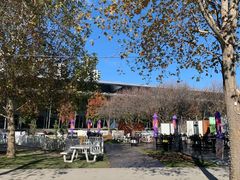 -墨尔本之星 观景摩天轮