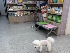 -四月宠物医院·猫专科·心脏专科·内科(转塘店)