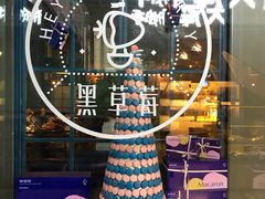 -黑草莓(重庆路店)