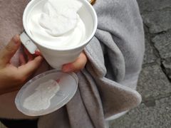 -洪馨椰子