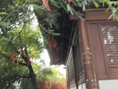 -梦姑塘文化公园