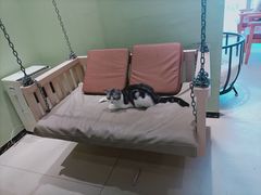 -藏猫猫咖啡主题馆(中央大道店)