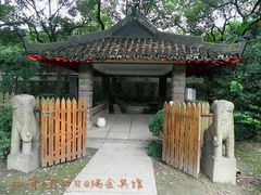 19瑞金宾馆-上海瑞金洲际酒店