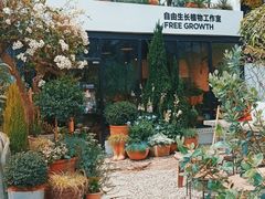 -自由生长植物工作室(深港花卉中心店)