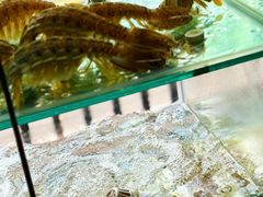 -凯华海鲜火锅·传承三十六年