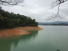 -广州市流溪河国家森林公园