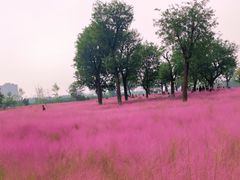 -汉长安城未央宫国家考古遗址公园