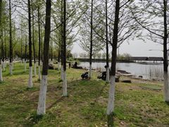 -滆湖低碳生态公园