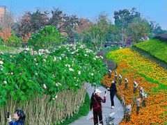 -天府芙蓉园