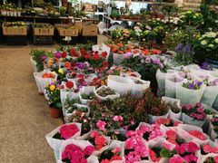-双季花艺园艺市场(浦东店)