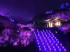 -印象普陀