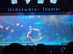 -泉城欧乐堡海洋极地世界