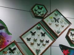 -惠州科技馆