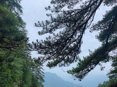 -武当山风景区