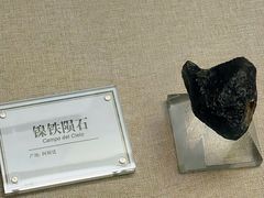 -辽宁古生物博物馆