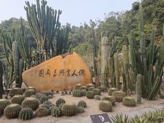 -深圳仙湖植物园