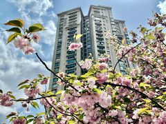 -新虹桥中心花园