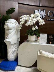 -洁铭新加坡医美