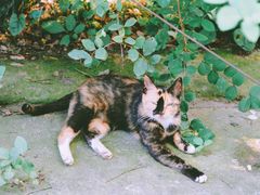 -上海植物园·停车场