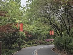 -杭州半山国家森林公园