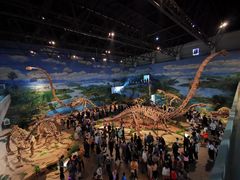 -自贡恐龙博物馆