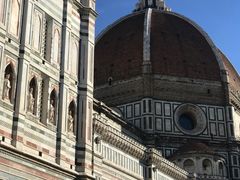 -圣母百花大教堂穹顶