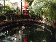 -东方华地城湿地温泉度假区