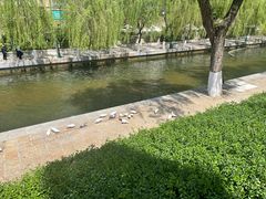 -泉城广场