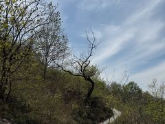 -圌山