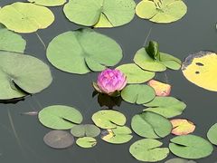 -国家植物园南园