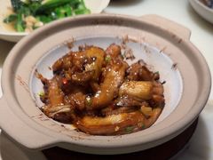 -客语客家菜(华发商都店)