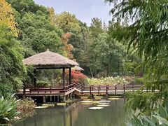 -上海滨江森林公园