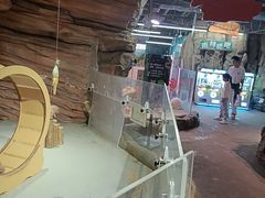 -正佳雨林生态植物园