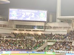 -泰达足球场