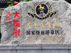 -大槐树寻根祭祖园