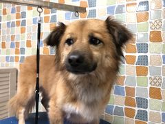 -宠颐生猫科·内科皮肤科(西平世纪城店)