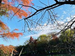 -西溪国家湿地公园