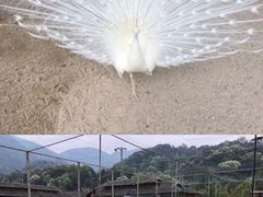 -韶关经律论国际酒店温泉