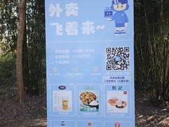 -合肥滨湖国家森林公园