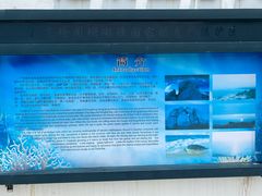 -广东惠东海龟国家级自然保护区