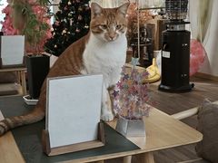 -南枝小馆(银鱼巷店)